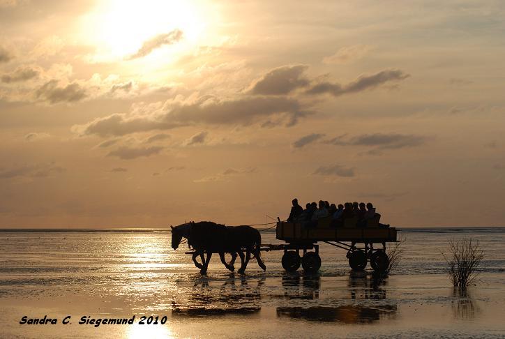 Wattwagen im Sonnenuntergang