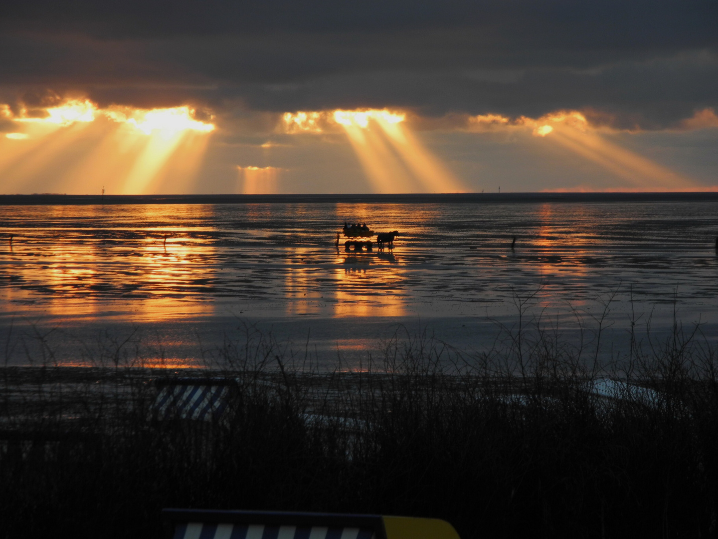 Wattwagenfahrt bei Sonnenuntergang