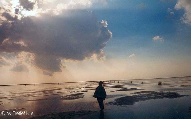 Wattwandern am Abend in Cuxhaven