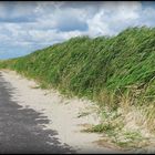 Wattwanderung auf Föhr bei steifer Briese 