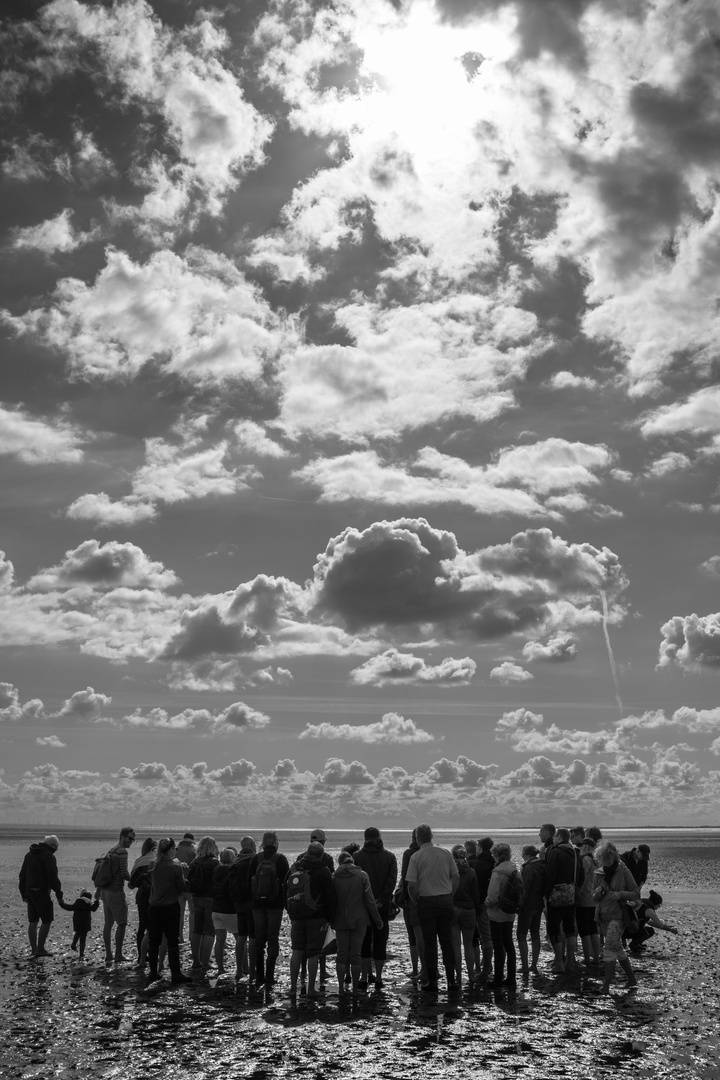 Wattwanderung bei List auf Sylt