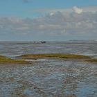 Wattwanderung im Wattenmeer der südlichen Nordsee vor Harlesiel.