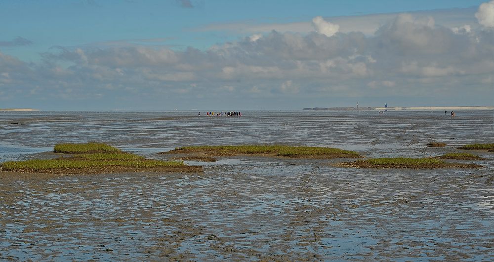 Wattwanderung im Wattenmeer der südlichen Nordsee vor Harlesiel.