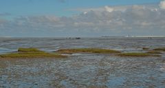 Wattwanderung im Wattenmeer der südlichen Nordsee vor Harlesiel.