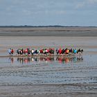 Wattwanderung - Kurzurlaub an der Nordsee in Neuharlingersiel