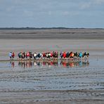Wattwanderung - Kurzurlaub an der Nordsee in Neuharlingersiel