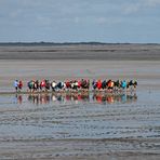 Wattwanderung - Kurzurlaub an der Nordsee in Neuharlingersiel