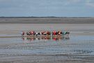 Wattwanderung - Kurzurlaub an der Nordsee in Neuharlingersiel von ketchup61 