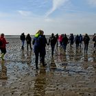 Wattwanderung St. Peter Ording 