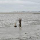 Wattwegmarkierung für die Route von Cuxhaven (am Horizont) zur Insel Neuwerk