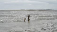 Wattwegmarkierung für die Route von Cuxhaven (am Horizont) zur Insel Neuwerk