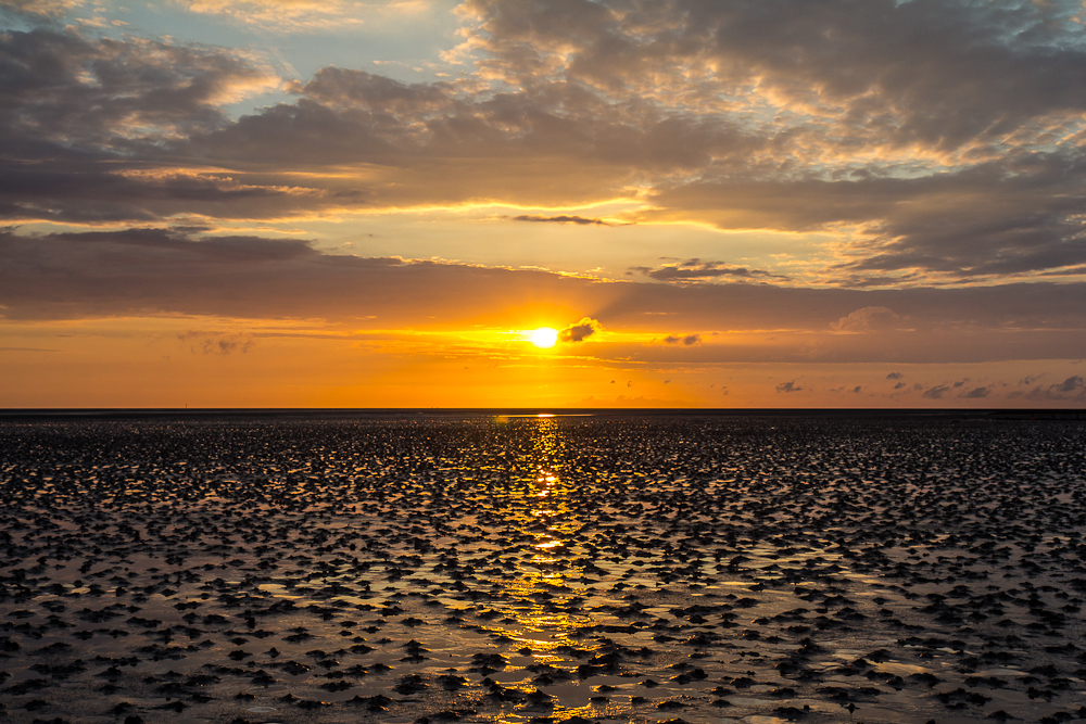 Wattwurmhaufen bei Sonnenuntergang