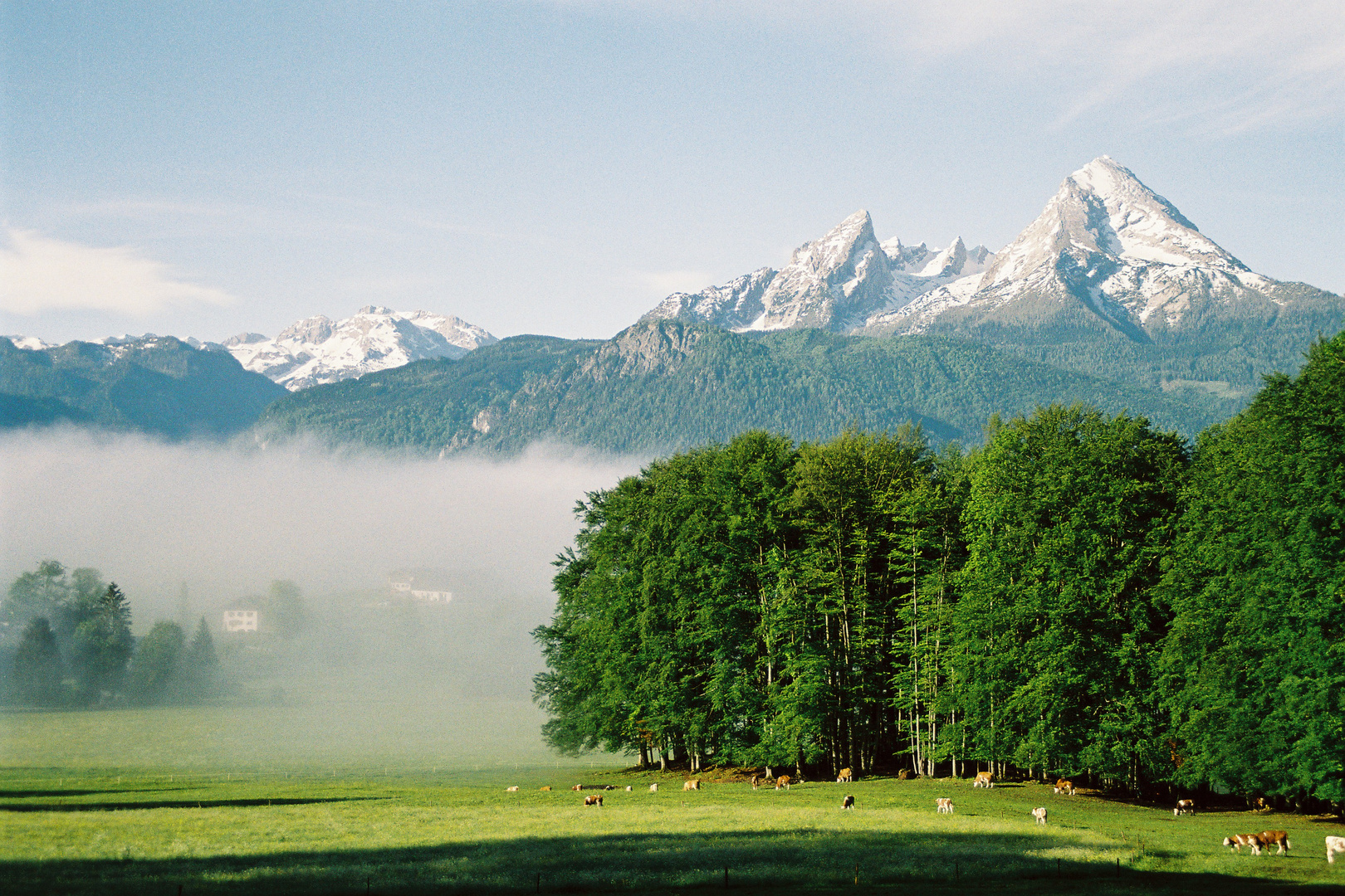 "Watzmann" (analog)