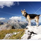 Watzmann mit Hund