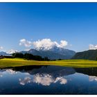 Watzmann mit Spiegelung im überschwemmten Feld