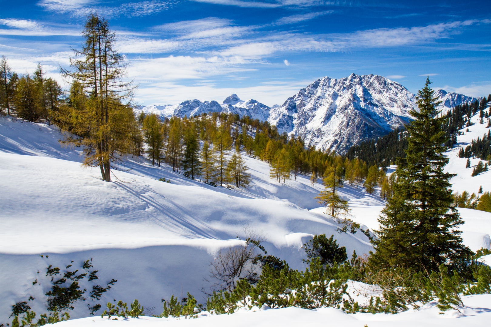 Watzmann View