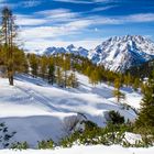 Watzmann View