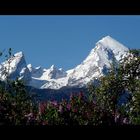 Watzmannfamilie im Frühling