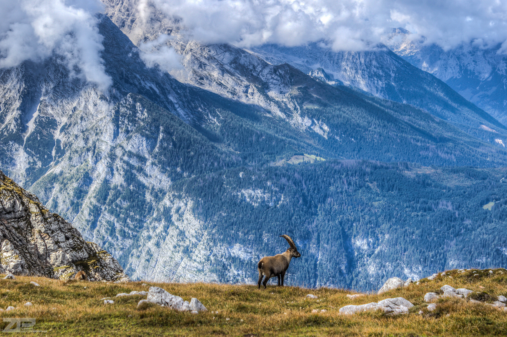 Watzmannhaus