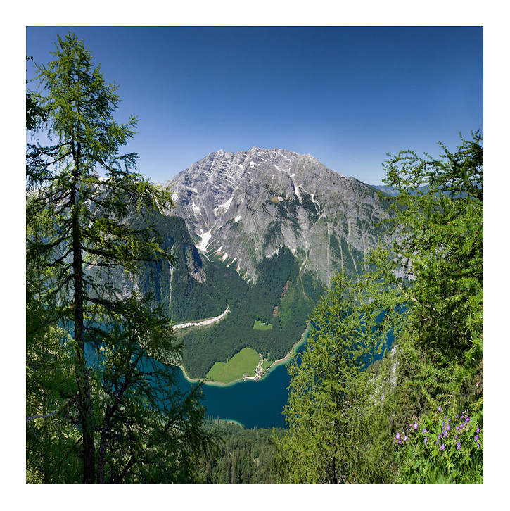 Watzmann/Königssee Panorama