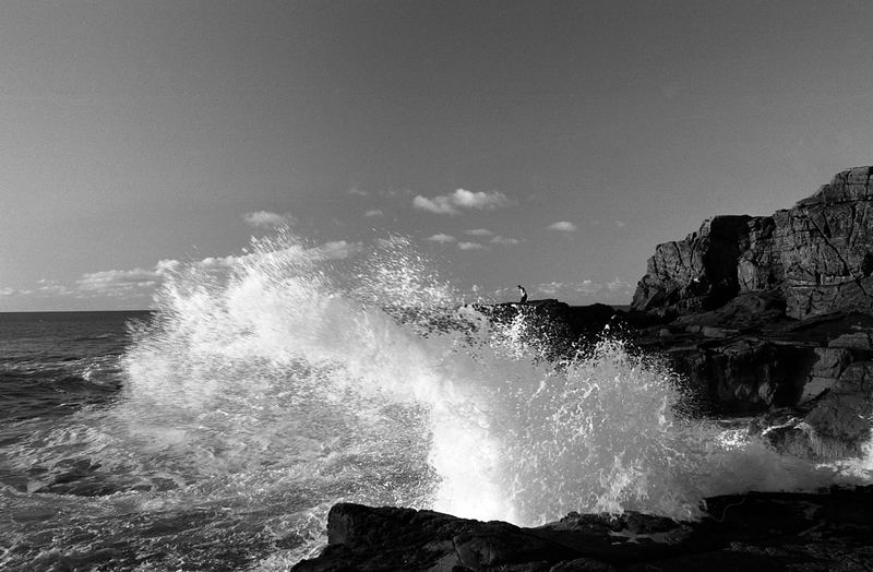Wave
