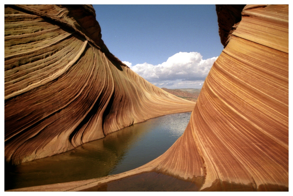 Wave and Water