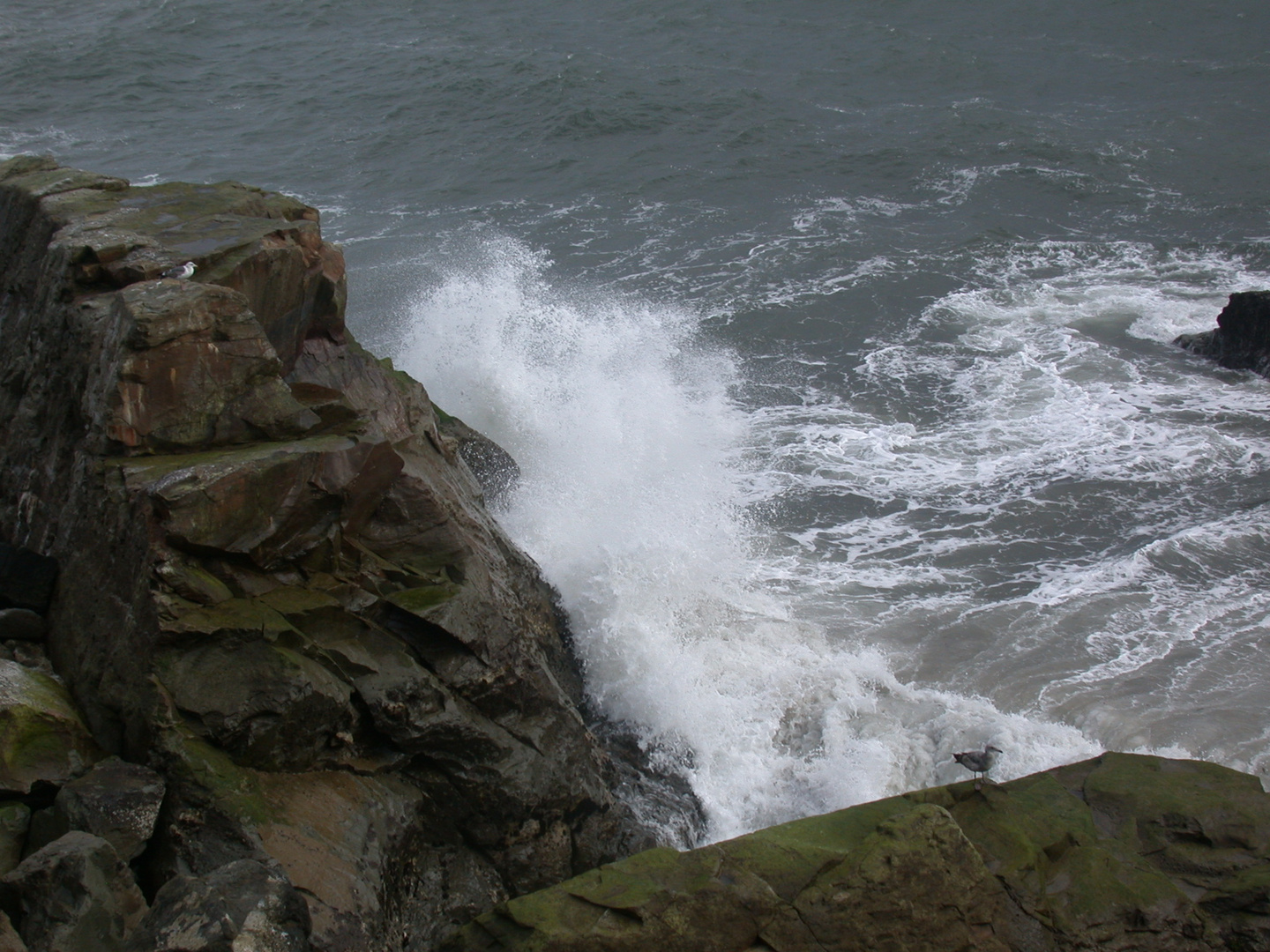 Wave crashing on rocks