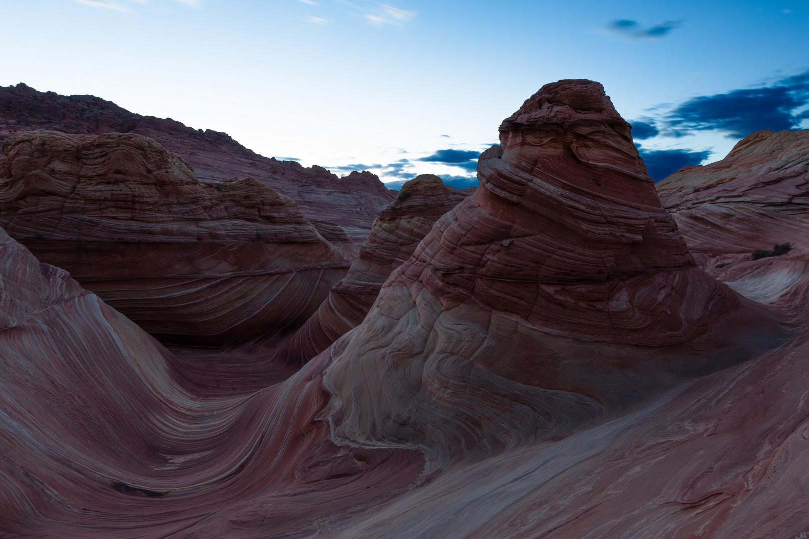 Wave zur Blauen Stunde in Arizona