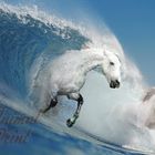 Wavehorse