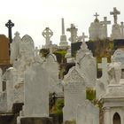 Waverley Cemetery