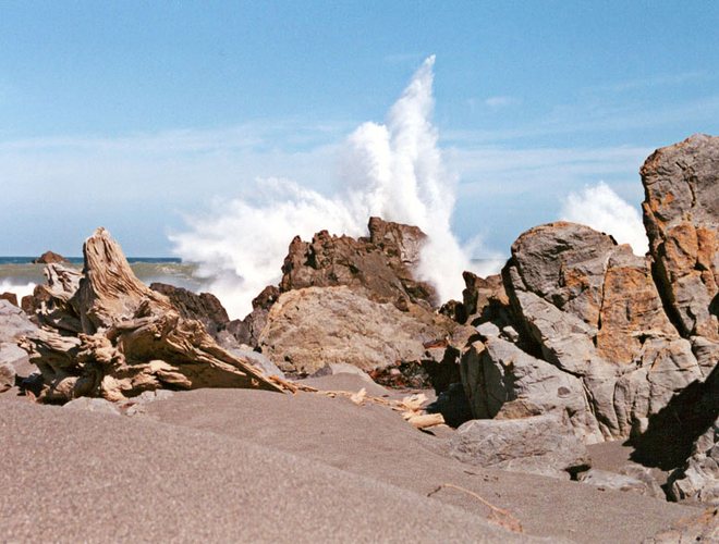 Waves Bearing Head near Wellington Foto & Bild australia & oceania