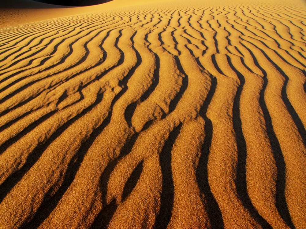 Waves in the Sand