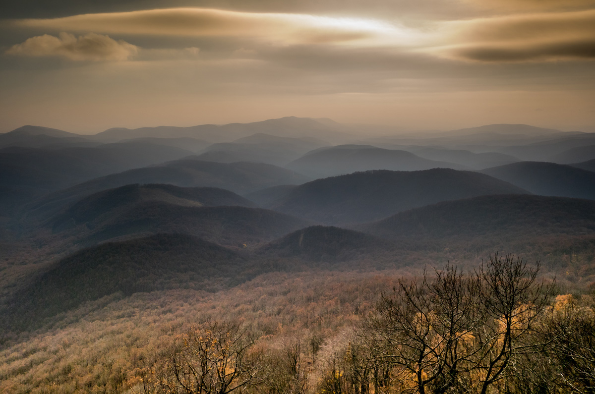 Waves of autumn