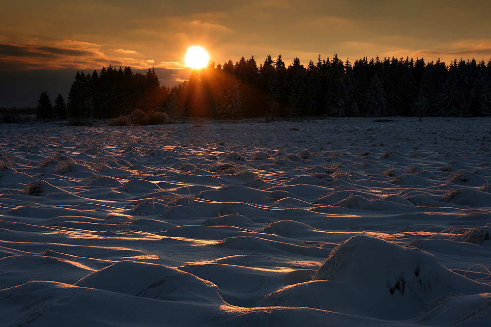 ~ waves of ice ~