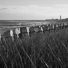 waves rolling onto Warnemünde beach - seen through beach grass