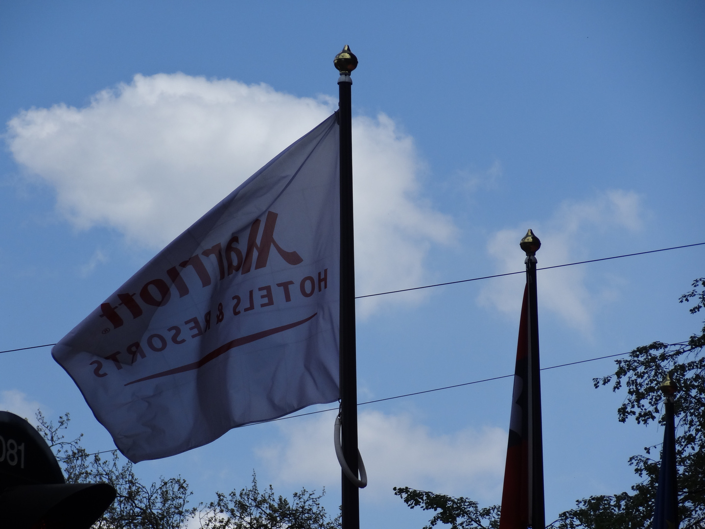 Waving Flag