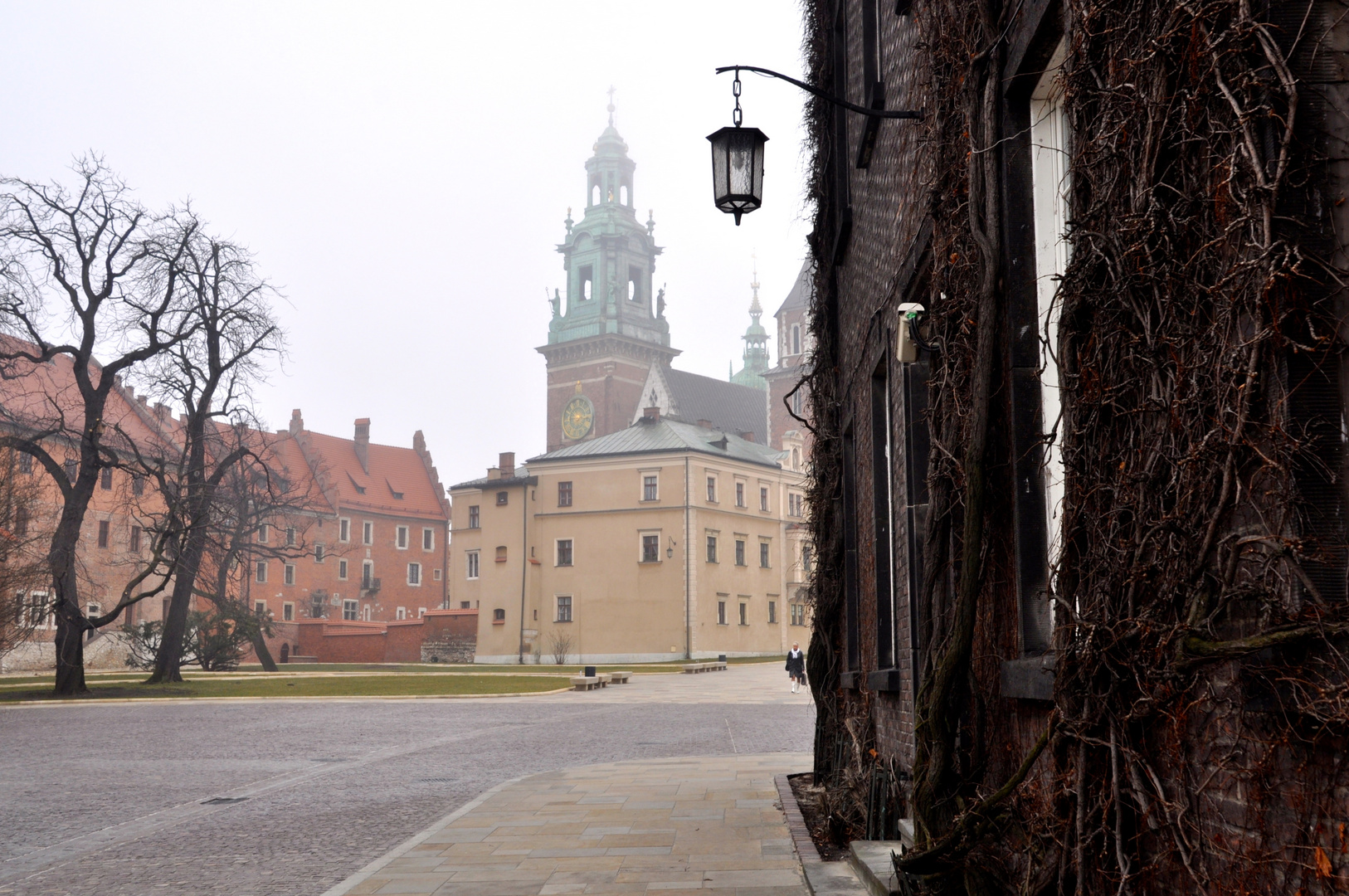 wawel