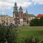 Wawel