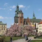 Wawel Castle