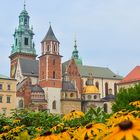 WAWEL