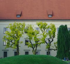 Wawel