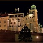 Wawel in der Nacht