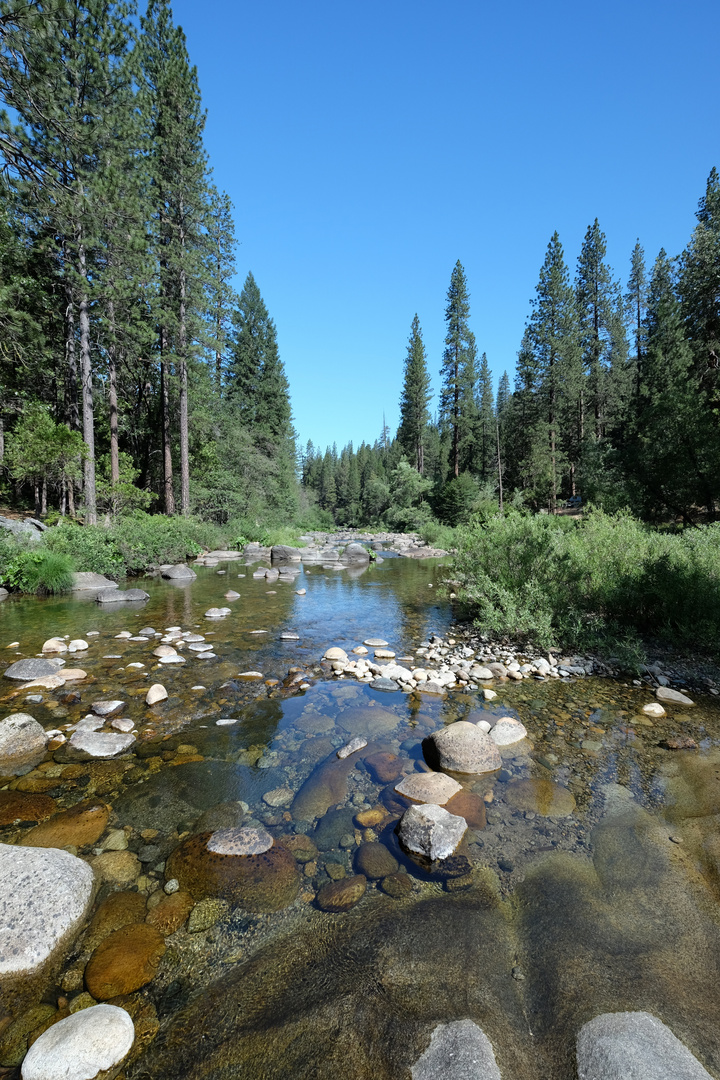 Wawona Yosemite NP