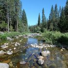 Wawona Yosemite NP