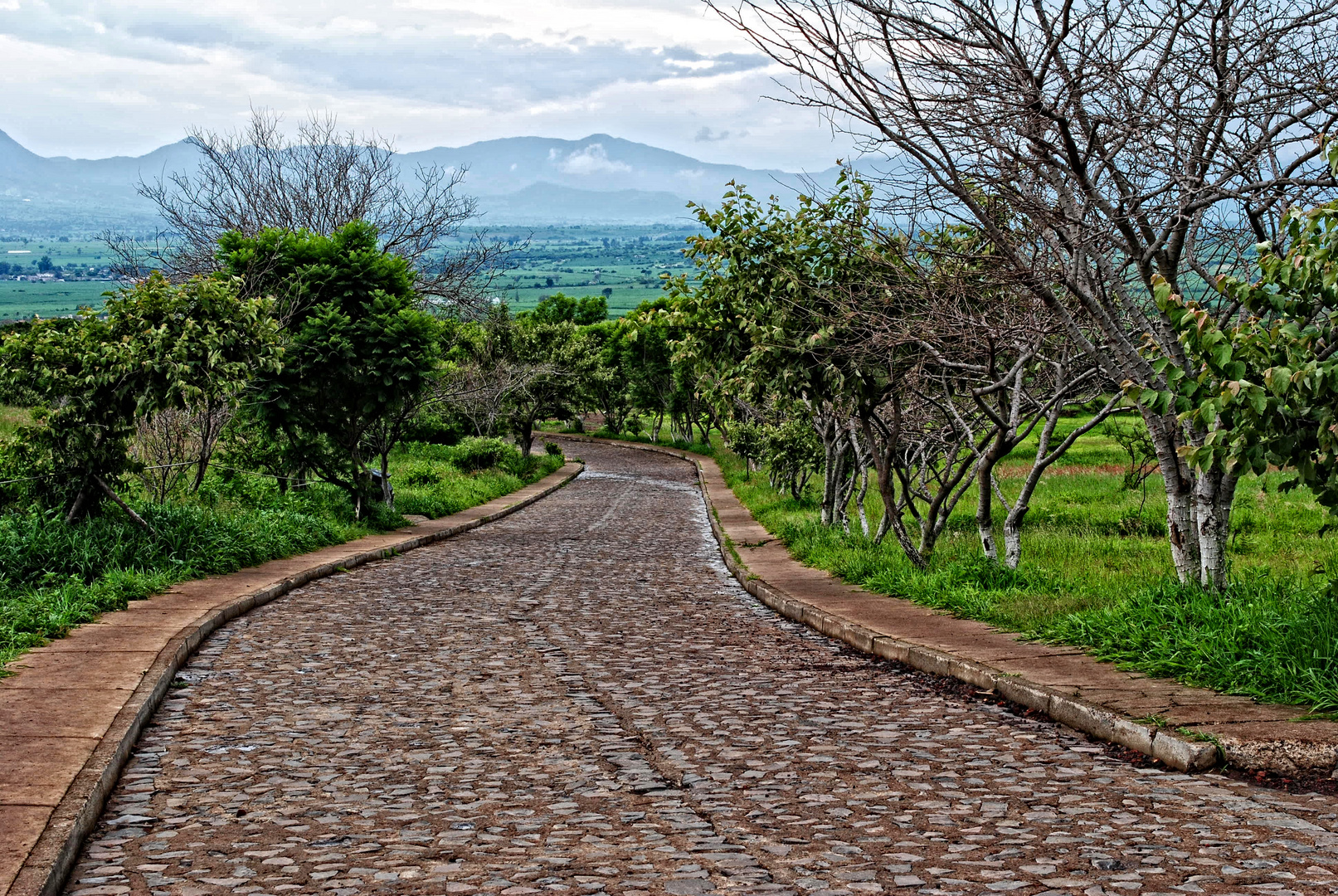 Way 2 Guachimontones