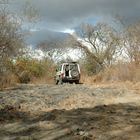 Way at Santa Rosa National Park (Costa Rica)