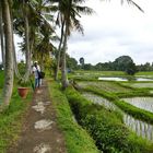 ...way back to Ubud...