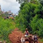 Way down from the pagoda hill