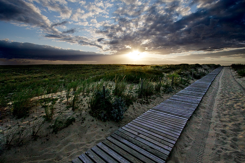 Way home von Jochen Streib 