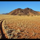 Way through Namib Rand...